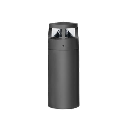 ECLIPTA MINI