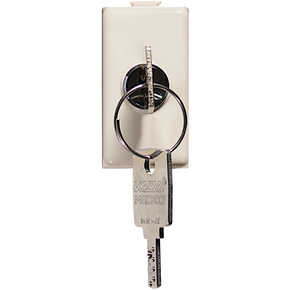 2-way switch 1P 16A 250 Vac with key