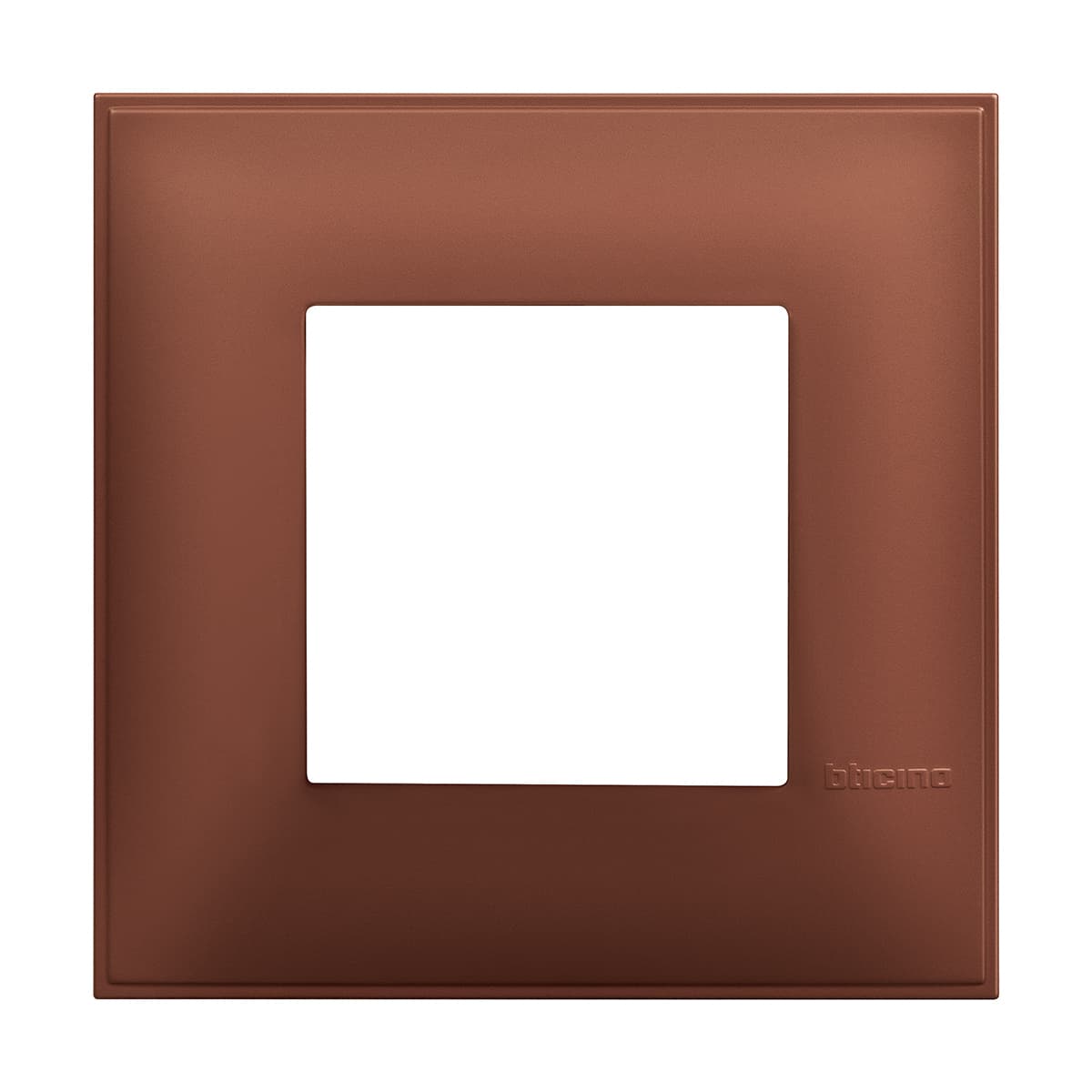 Cover plate - 2 modules