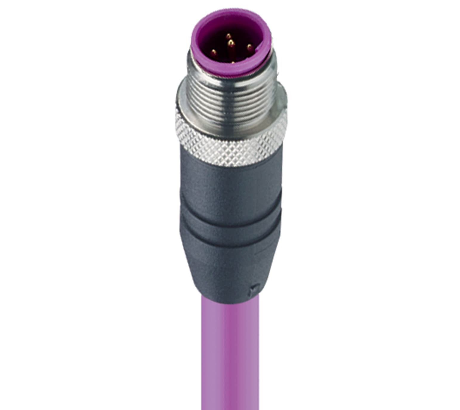 PROFIBUS Data Single-Ended Cordset: M12 Standard, male, straight, 5-pin, B-coded, shielded, black bo