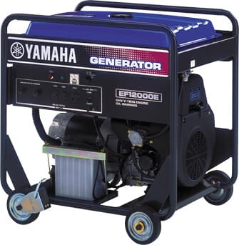 EF12000DE (220V/60Hz)