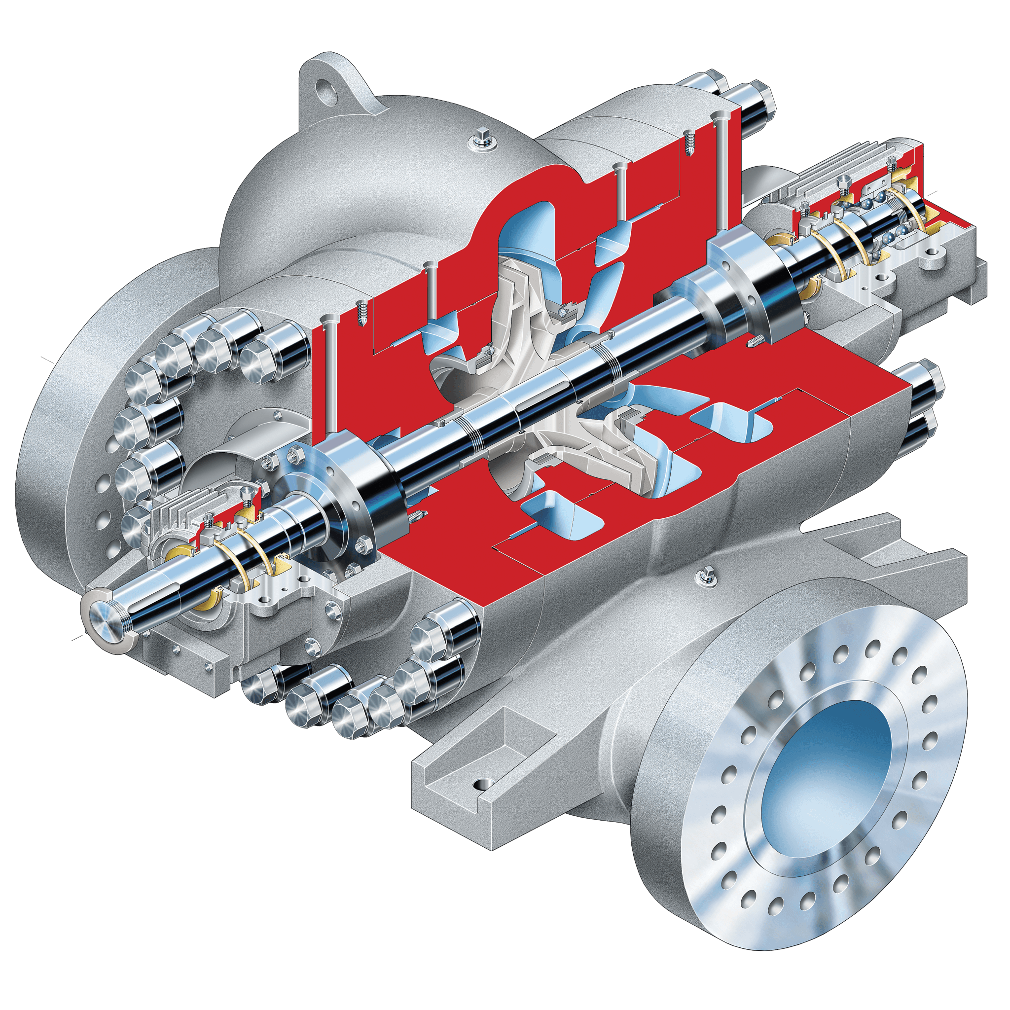 Flowserve DVSR Nuclear Pump