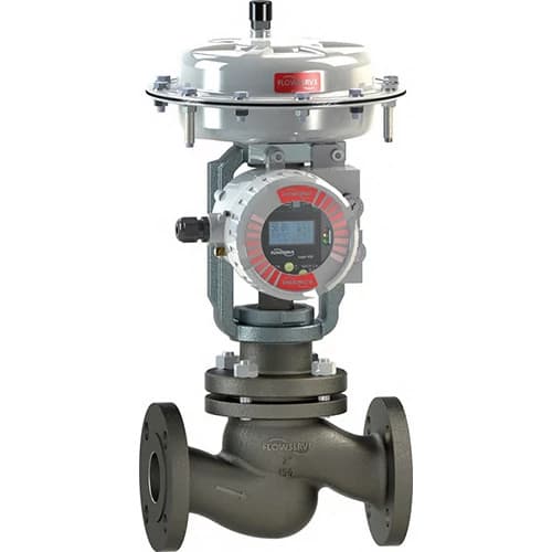Linear Globe/Angle Control Valves - Valtek GS