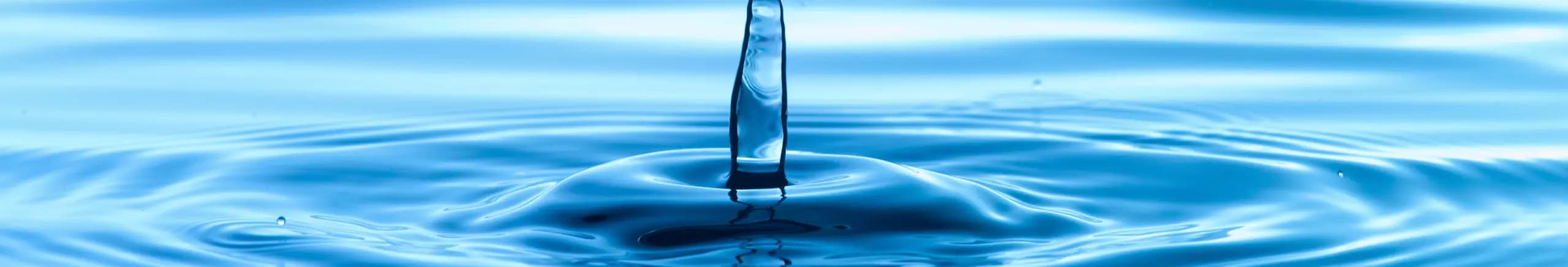 Water intake components, process water