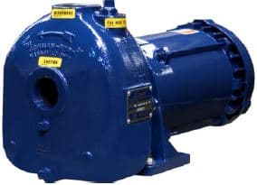 Gorman-Rupp 81 1/2D3-X.75 3P 80 Series Pump