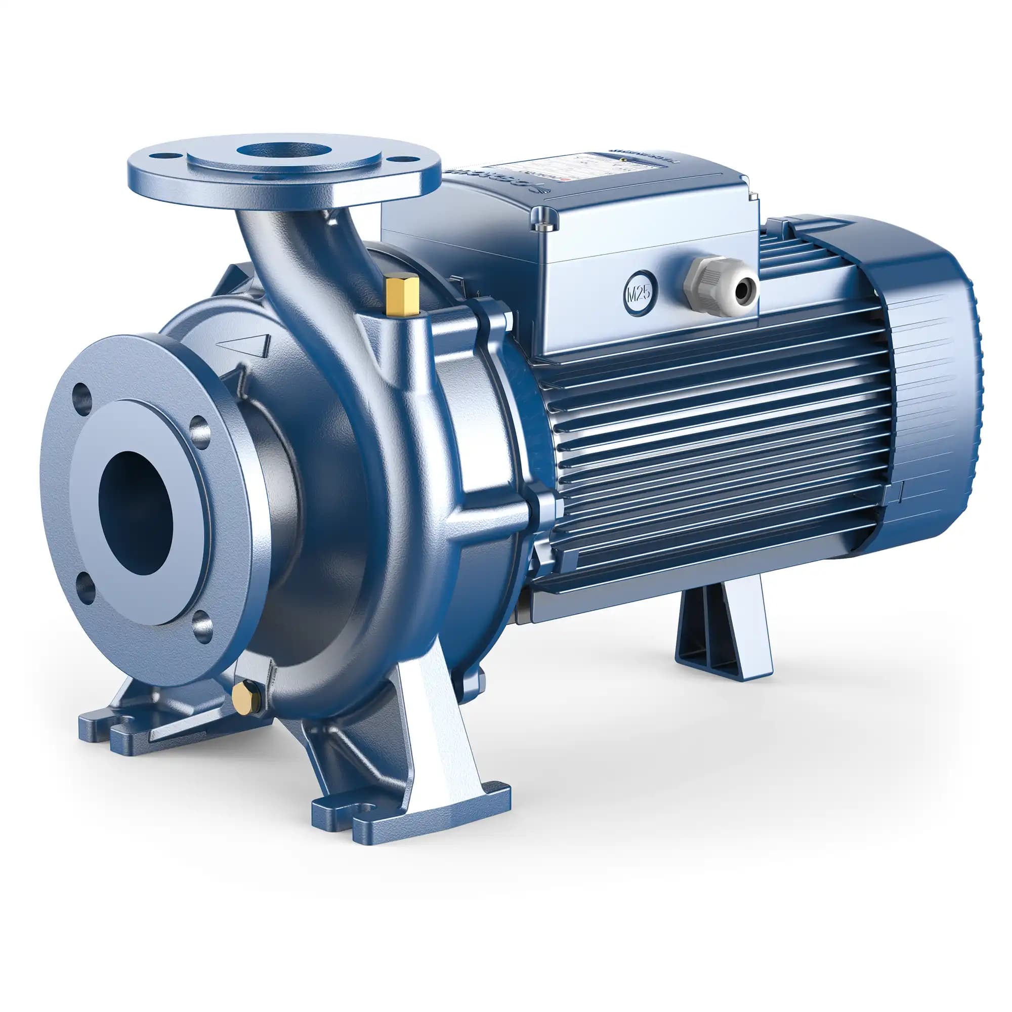 Pedrollo Fm 50/125C EN 733 Standardised Centrifugal Pumps