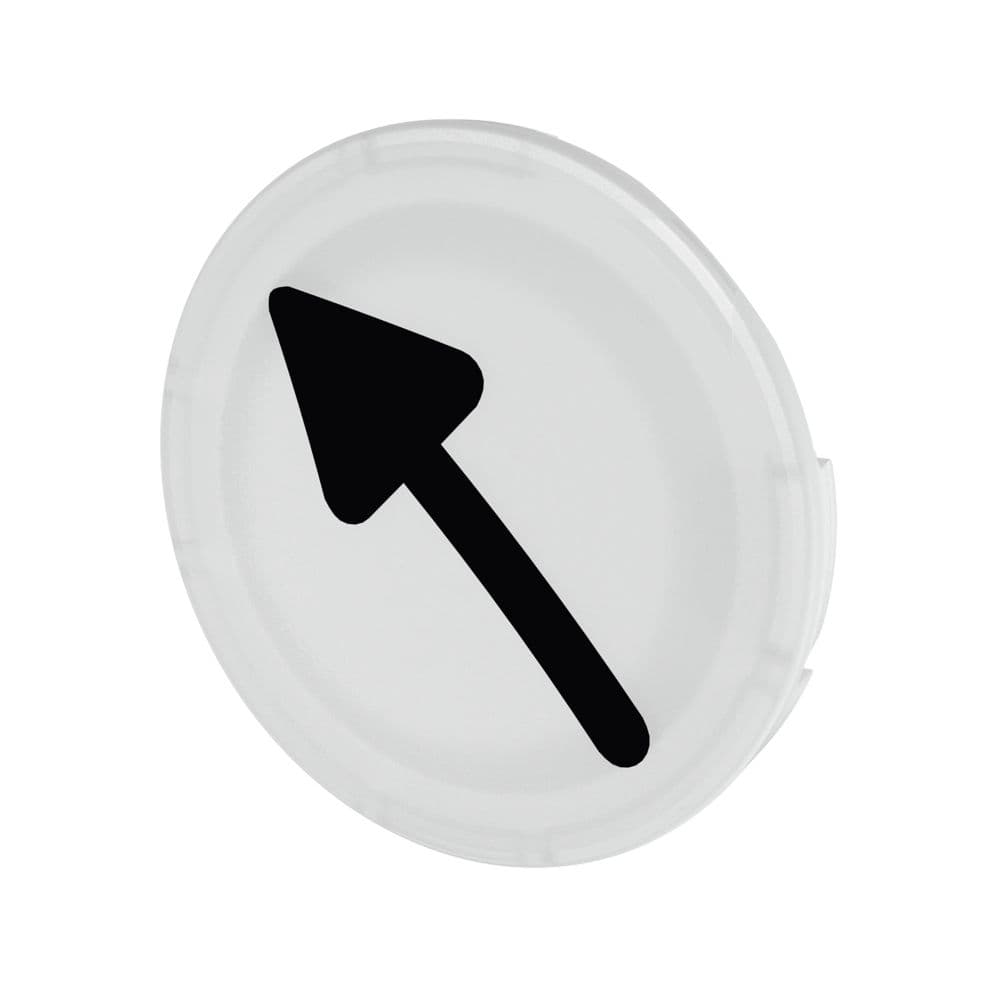 Eaton Moeller® series M22 button lens