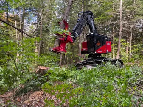 TL725D feller buncher