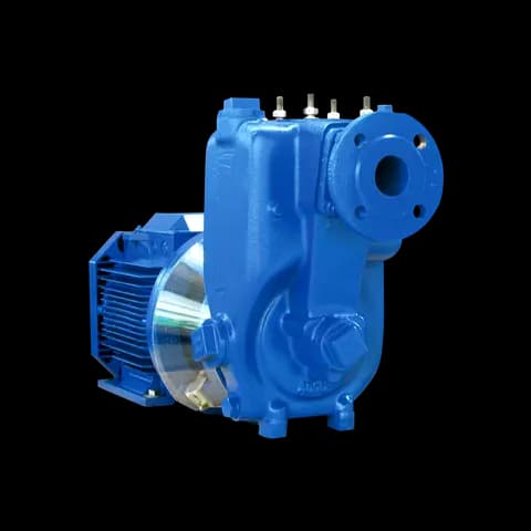 KSB Dry-installed pump (AU Monobloc)
