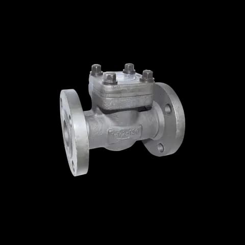 KSB Swing check valve (ECOLINE SCF 150-600)