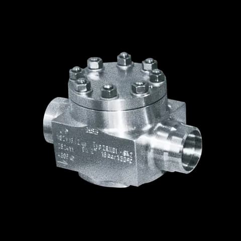 KSB Swing check valve (ZRN)
