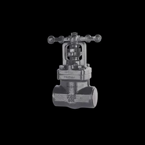 KSB Gate valve (SICCA 150-2500 GTF)