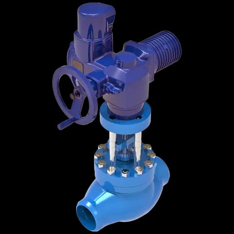 Hopkinsons® Globe Valve