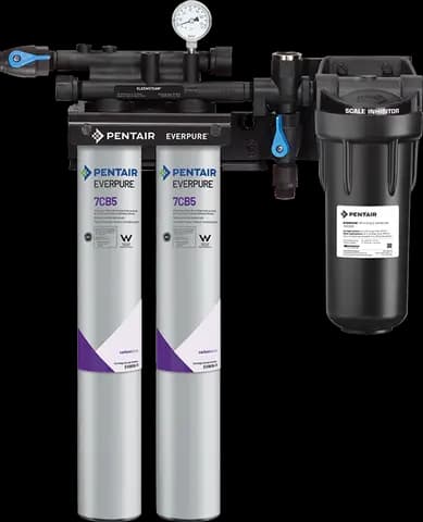 Everpure Kleensteam Systems - EV979722