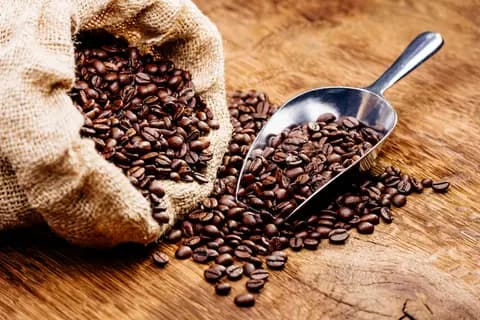 Components, coffee and cocoa processing